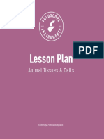 Lesson Plan: Animal Tissues & Cells