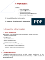 Inflammation Detailed