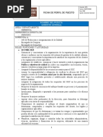 Perfil de Puesto