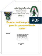 Informe G-12