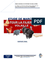 Rapport Final Filière Volaille