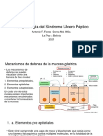 Fisiopatología Del Síndrome Ulcero Péptico