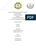 Informe #3 (Reacciones Cualitativas de Aminoacidos)