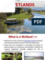 WETLAND