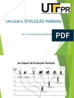 Aula 4 Origem e Evolução Humana