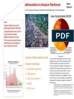 Daulet Mamytov Causes of Deforestation in The Amazon Rainforest