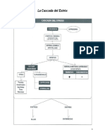 Apunte-La Cascada Del Estrés