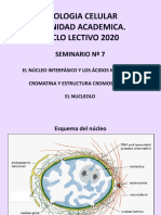 Seminario BC 7-2020