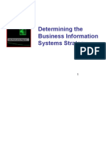 Determining The Business Information Systems Strategy