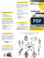 Triptico Diabetes