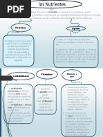 Mapa Conceptual