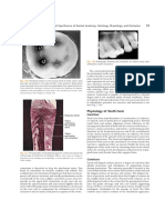 Physiology of Tooth Form: Function