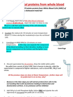 Protein Isolation From Whole Blood