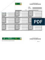 4 Formatos Futbol Asociacion