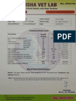 Krisha Vet Labb: Complete Blood Count