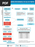 Files Algoritmo Reanimacion Neonatal 1521558648