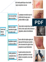 Lesiones Que Debemos Examinar El Amor de Mi Vida