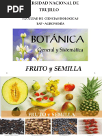 Clase de Teoría Fruto y Semilla