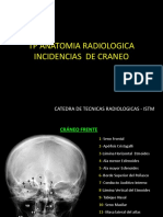 Anatomia Radiologica - Craneo