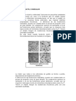 Fundicion Ductil o Nodular