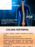 Anatomia COLUNA VERTEBRAL