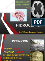 HIDROCEFALIA5