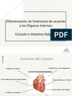 Síndromes de Corazón e Intestino Delgado