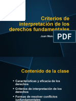 Criterios de Interpretación de Los Derechos Fundamentales S6-2021