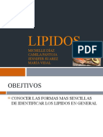 LIPIDOS