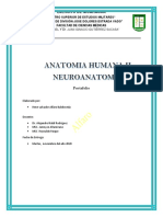 Portafolio II Neuroanatomia Alfaro Akashi Seijuro