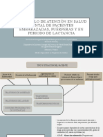 Protocolo de Atencion SM en Embarazo, Puerperio y Lactancia