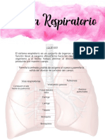 Apuntes Sistema Respiratorio