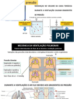 Aula Dia 16112020 PDF