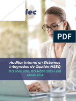 Auditor Interno Hseq-Eidec