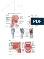 Dysphagia Summary