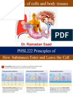 5 - Physio of Membrane Transport