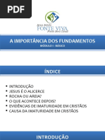 01.a Importância Dos Fundamentos