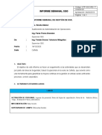 Informe N°02 Semanal Sso Cañete