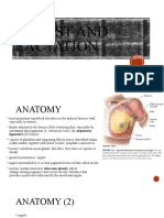 Breast and Lactation