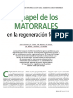 El Papel de Los Matorrales en La Regeneracion Forestal