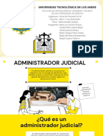 Administrador Judicial