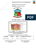 Ormaza - Cesar Mapa Mental Fisiología de Las Pieles