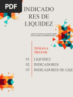 Indicadores de Liquidez Exposicion