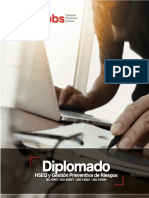 Resumen Diplomado