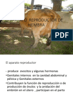 Aparato Reproductor de Hembra