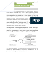 Bacterial Metabolism