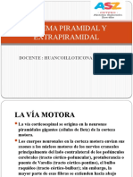 6-Via Piramidal y Extrapiramidal