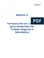 Cartilla - Módulo 0. Introducción Líderes para Ambientes de Trabajo Seguros y Saludables 2020.