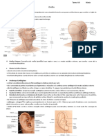 Orelha (Externa, Média e Interna)