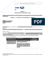 Formato 2 - Conformación de Proponente Plural